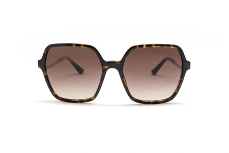 عینک آفتابی پروانه بدنه قهوه ای هاوانا دسته فلزی طلایی نگین دار بولگاری - عکاسی وحدت - زاویه روبرو