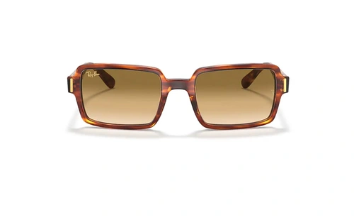 عینک آفتابی کائوچویی مستطیل ری بن مدل بِنجی - Ray Ban BENJI RB2189 - عکس از زاویه روبرو