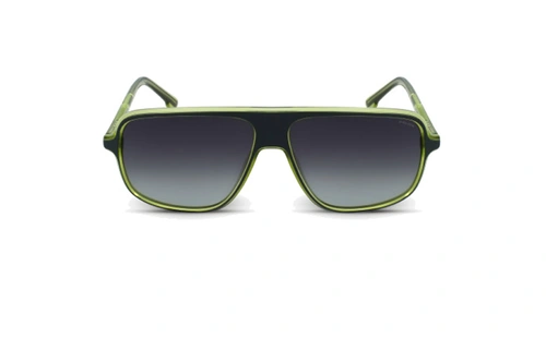 عینک آفتابی خلبانی پلیس -  Police Offset2 SPL961 men's sunglasses - عکاسی وحدت - عکس از زاویه روبرو