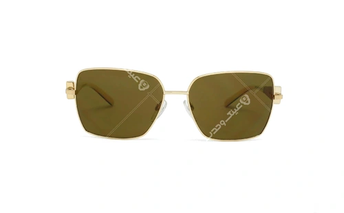 عینک آفتابی آنا هیکمن Ana Hickmann AH3120 04A - عکاسی وحدت - عکس از رو به رو