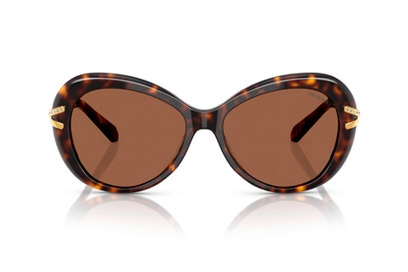 swaroski sunglasses
