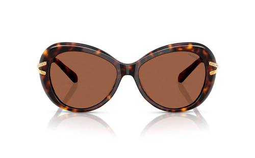 swaroski sunglasses